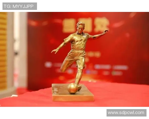 看台上的足球明星与他们背后的故事与荣耀