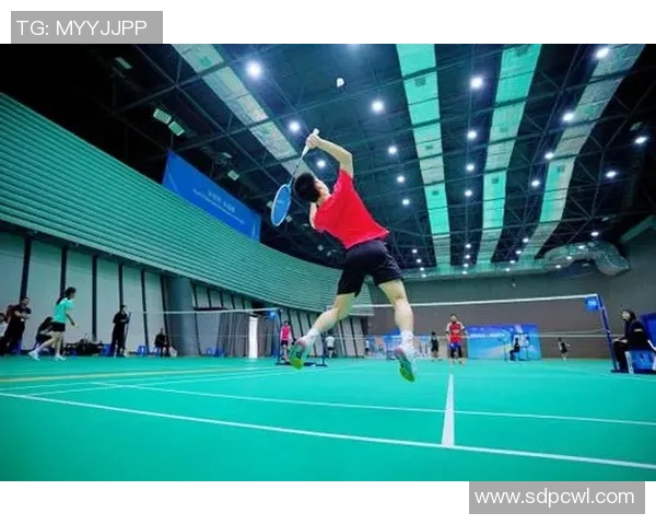 成都羽毛球队技术分析与发展探讨聚焦羽毛球竞技新趋势